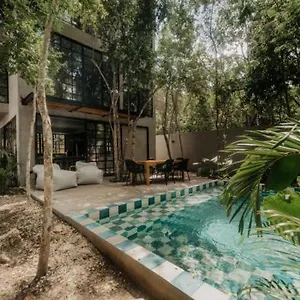 casa-pala-designer-la-veleta-jungle-home.quintano-roohotels.com/